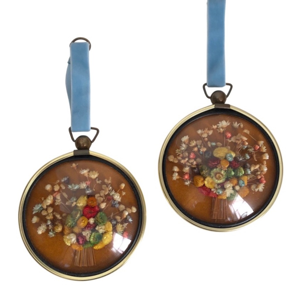 Dried Floral CiderArt Belgium Wall Hanging Set of Two - Domed Convex Glass